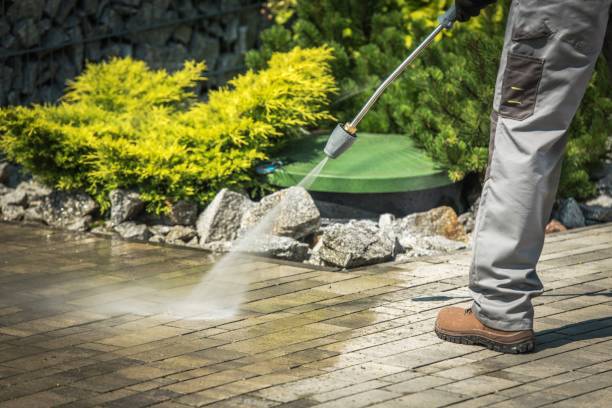 Best Soft Washing  in Hillsdale, NJ